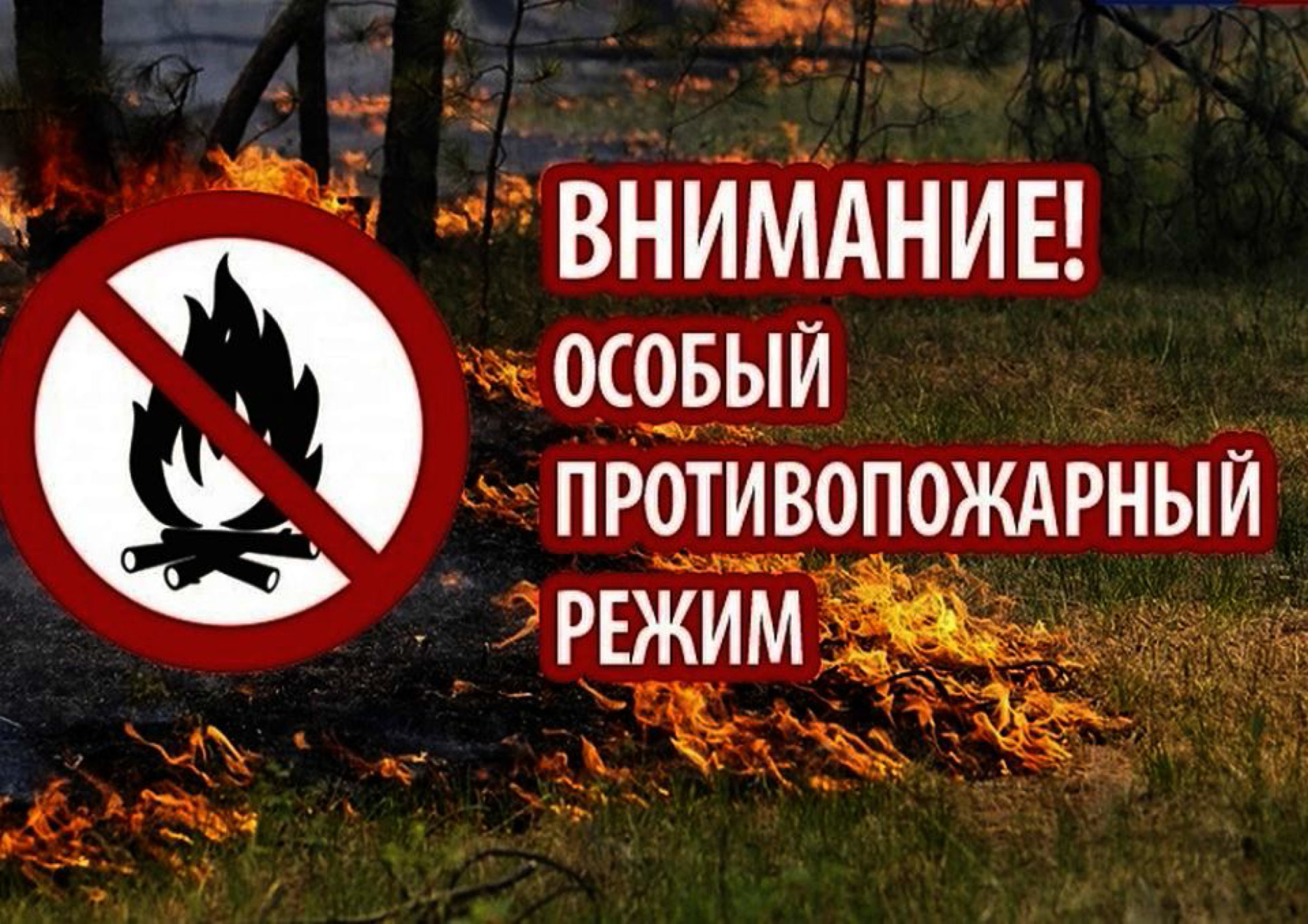 Установление на территории Новгородской области особого противопожарного режима.