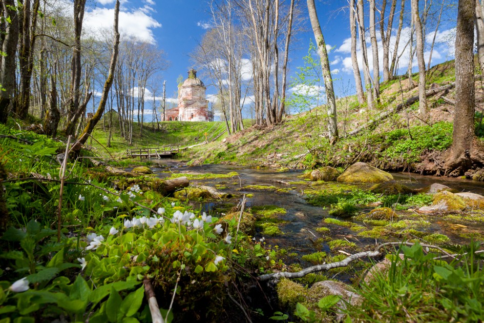 Источник в д. Серафимовка.