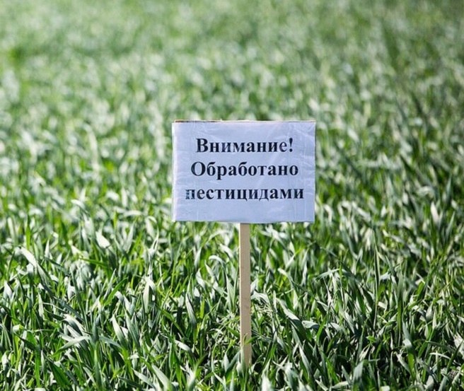 Объявление!. Объявление!.